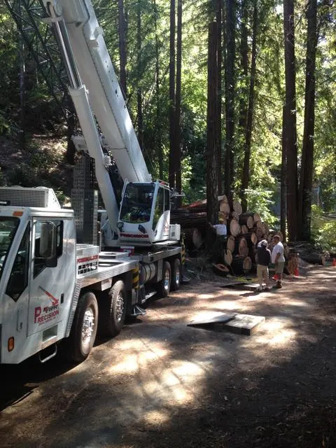 Crane at Forest Work Site